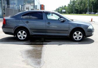 Подержанный автомобиль Skoda Octavia Liftback 2008 года (7 фото)