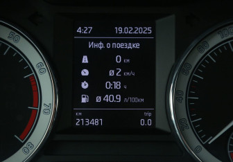 Подержанный автомобиль Skoda Octavia Liftback 2019 года (17 фото)