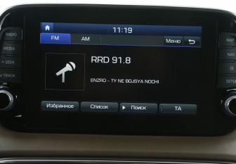 Подержанный автомобиль Hyundai Santa Fe 2019 года (13 фото)