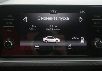 Подержанный автомобиль Skoda Rapid Liftback 2020 года (15 фото)