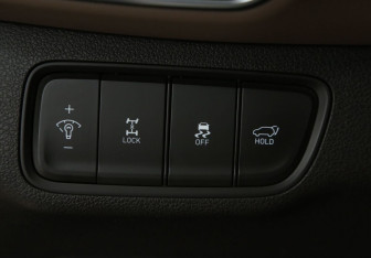 Подержанный автомобиль Hyundai Santa Fe 2019 года (20 фото)